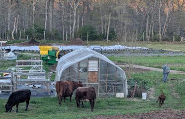 Long Table Farm