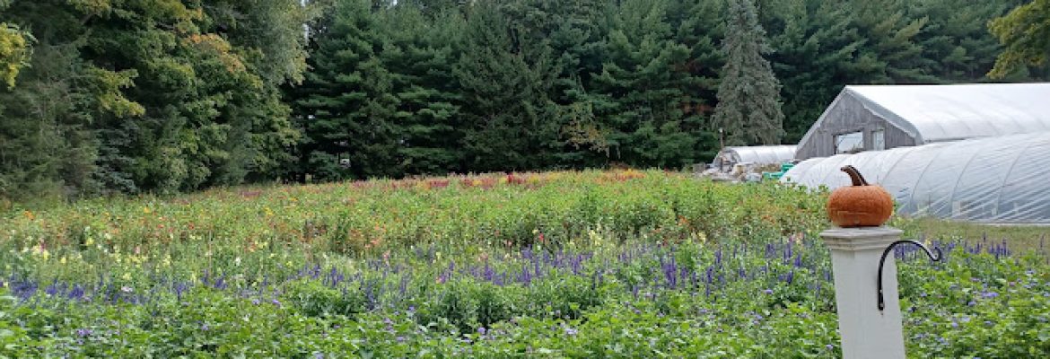 Ryan Family Flower Farm
