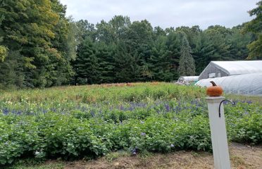 Ryan Family Flower Farm