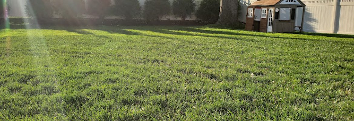 Austin Ganim Landscape Design, LLC