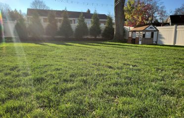 Austin Ganim Landscape Design, LLC