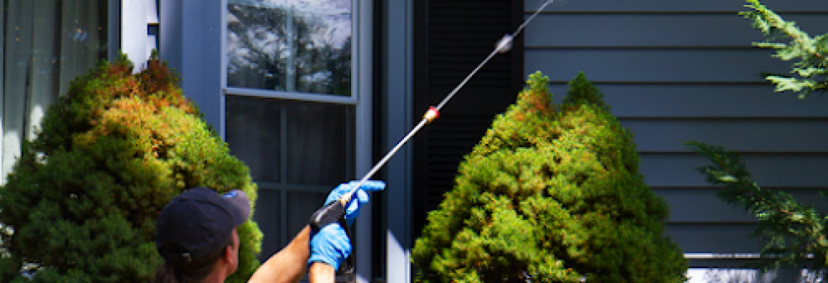 Richland Pest & Bee Control