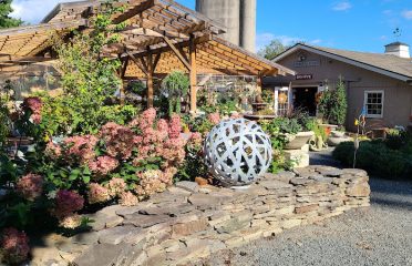 Shakespeare’s Garden