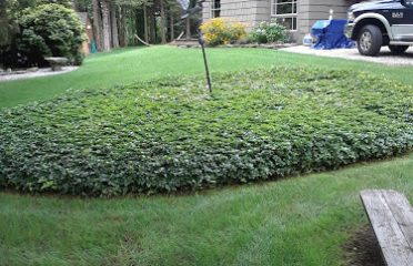 Rocko’s Landscaping