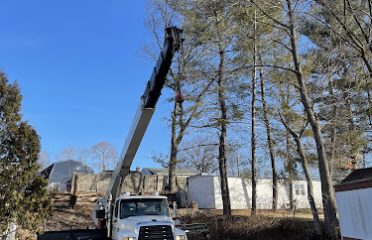 Lachance Tree Services