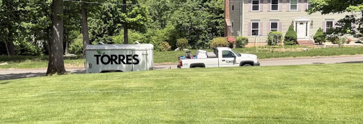 Torres Property Services LLC