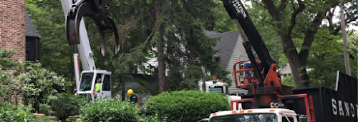 Sandweiss Tree Service, Inc.