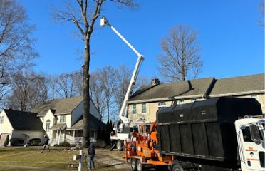 SKJ Tree Removal