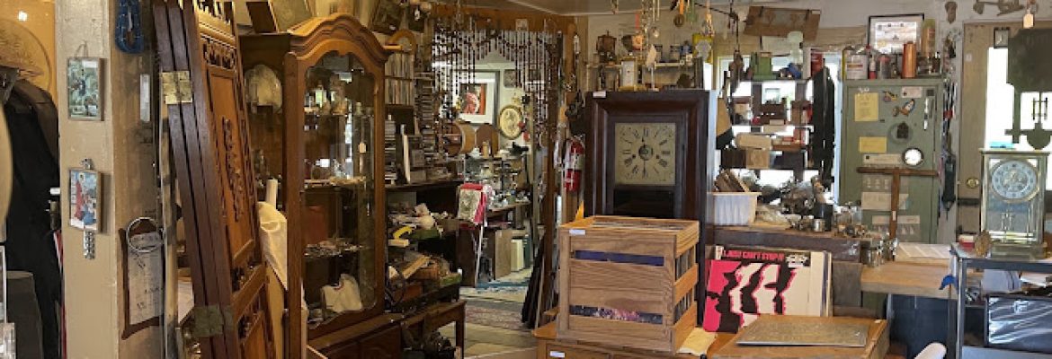 The Junk Shop