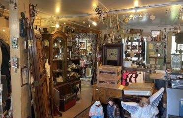 The Junk Shop