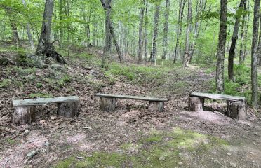 The Preserve