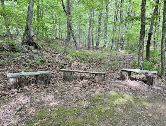 The Preserve