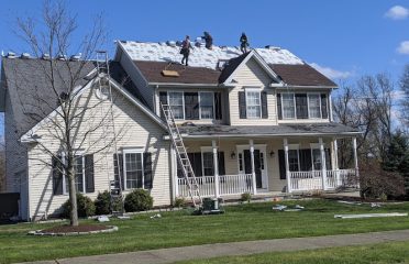 Elite Home Exteriors LLC Roofing