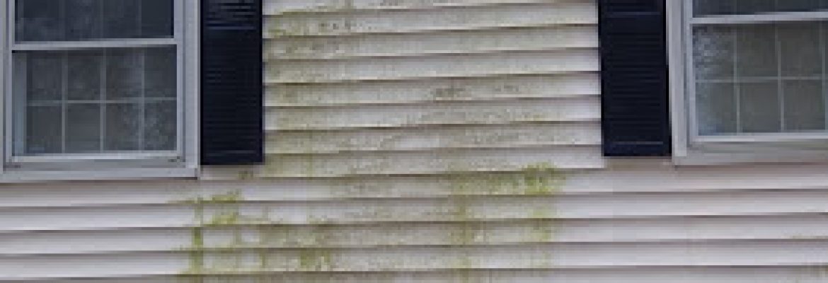 TEAM PRO POWERWASHING LLC