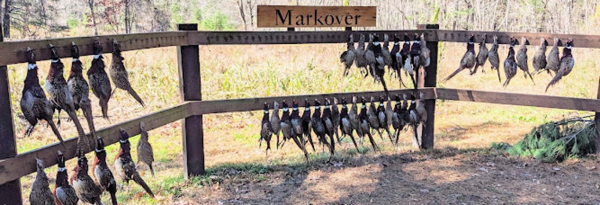 Markover Hunting Preserve