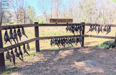 Markover Hunting Preserve