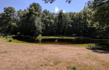 Town Forest Park