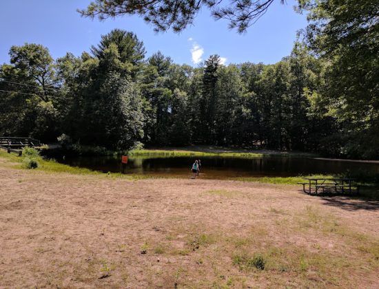 Town Forest Park