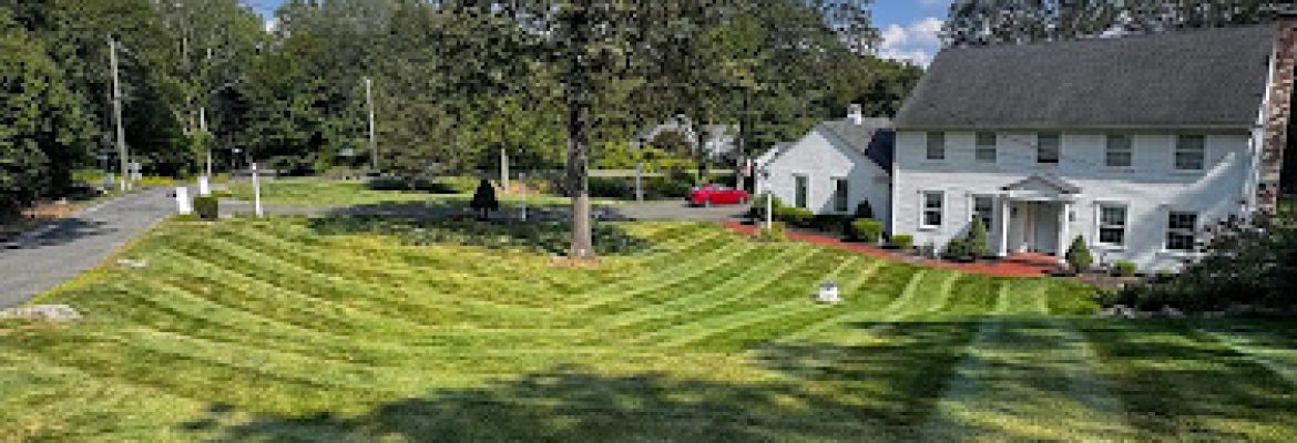 Rolys Landscaping