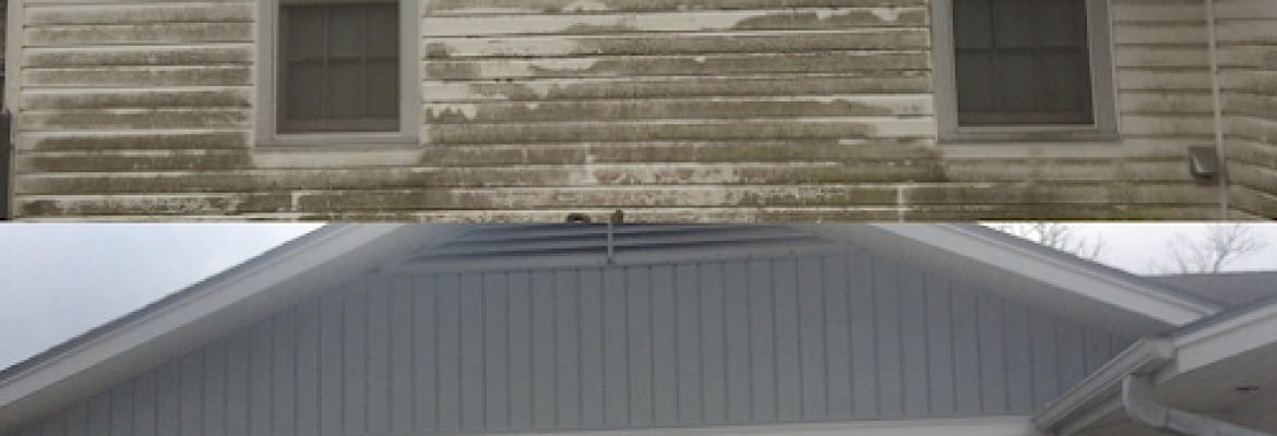 PRS Roof Cleaning