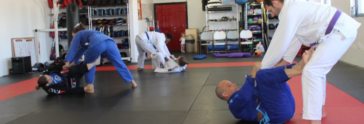 Radius Martial Arts Academy