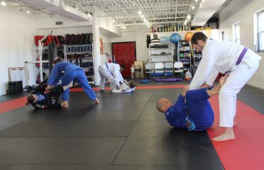 Radius Martial Arts Academy
