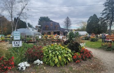Edmondson’s Farm & Nursery