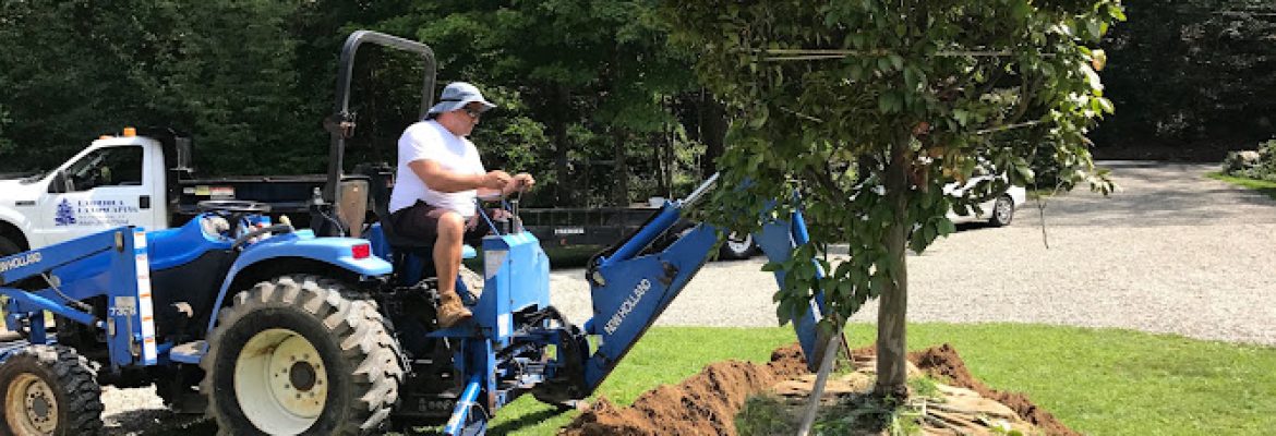 Labriola Landscaping, LLC