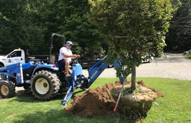 Labriola Landscaping, LLC