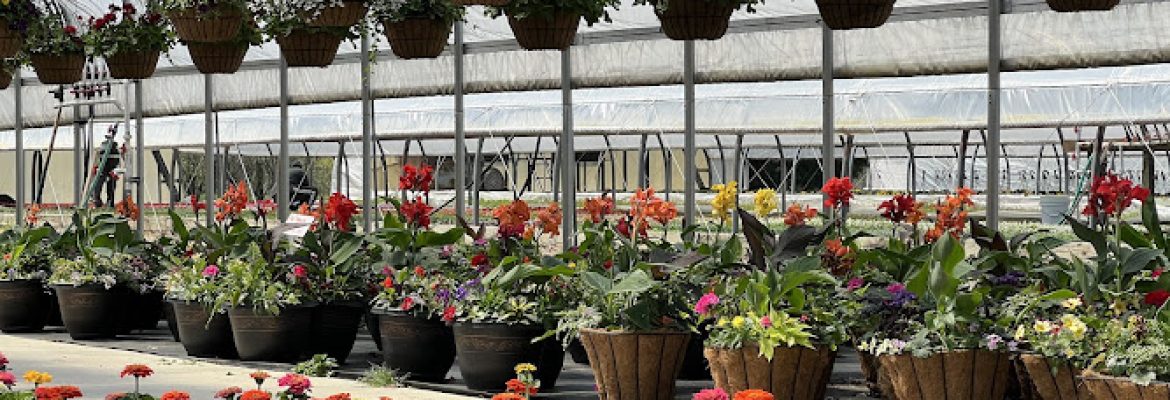 Morell farms