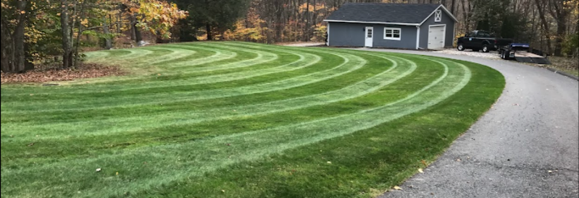 CZ’s Landscaping Tree Service LLC