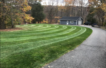 CZ’s Landscaping Tree Service LLC
