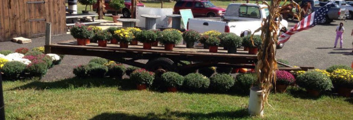 Riverview Farms