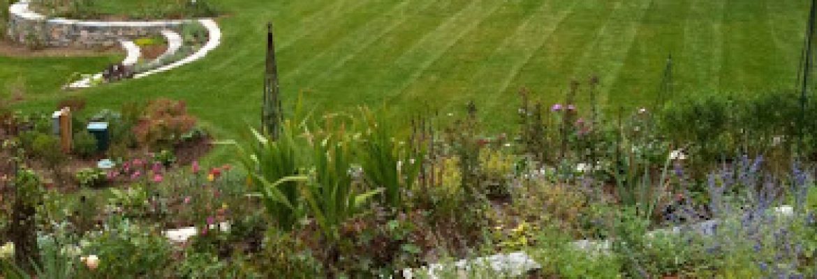 Brad Hull Landscaping Services