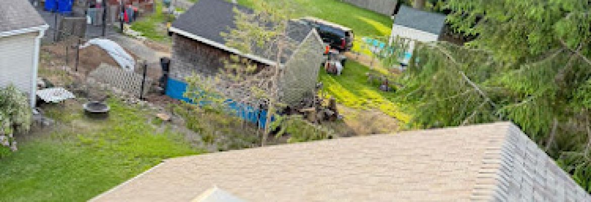Ace Chimney Services