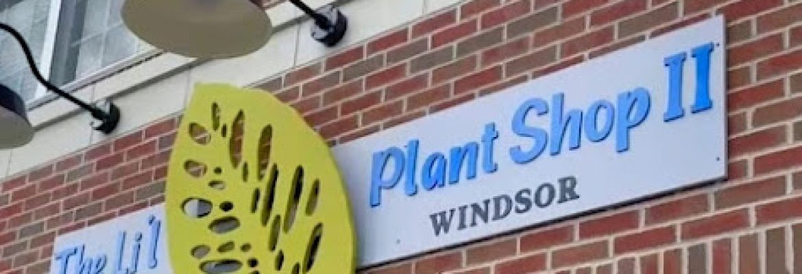 The Li’l Plant Shop II