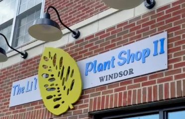 The Li’l Plant Shop II
