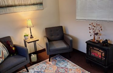 THERAPY NEST LLC