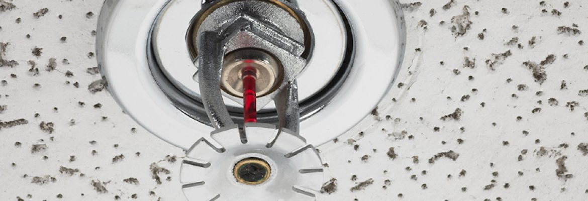Tricity Fire Protection