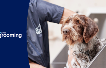 Petco Grooming