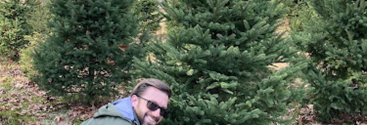 Everetts Corner Tree Farm