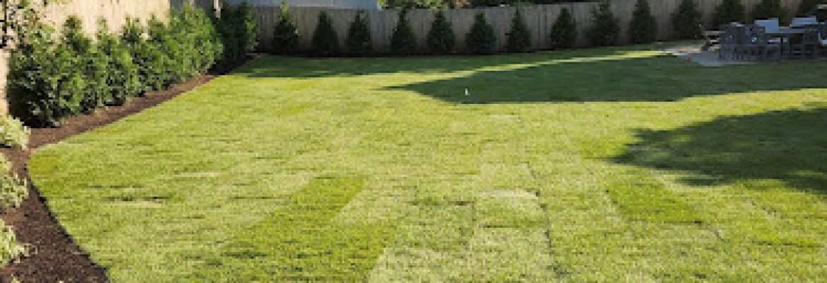 Penaranda’s Lawn & Care LLC
