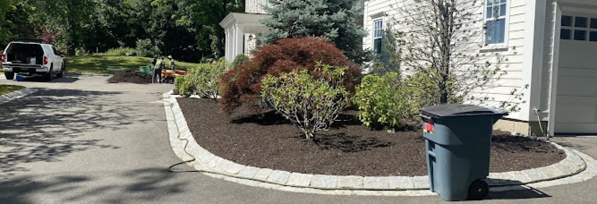 GENES1S LANDSCAPING SERVICES LLC
