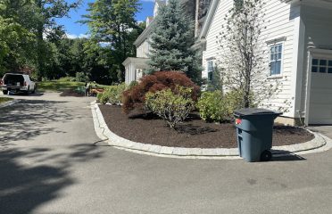 GENES1S LANDSCAPING SERVICES LLC