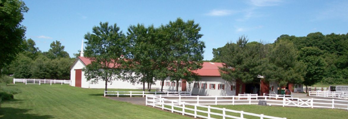 Brushy Hill Farm
