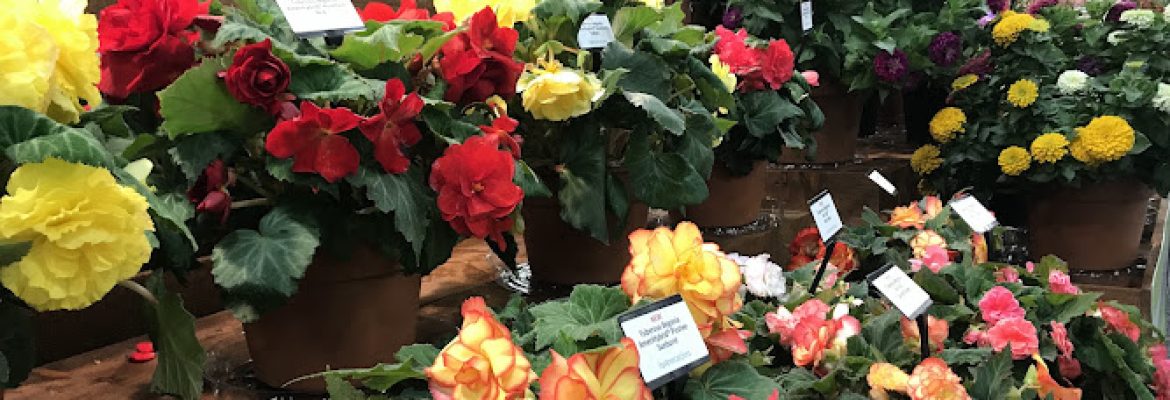 Larson’s Garden Center, LLC