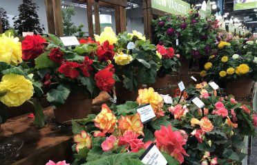Larson’s Garden Center, LLC