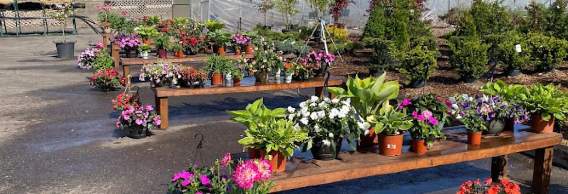 Newington Stone and Garden LLC