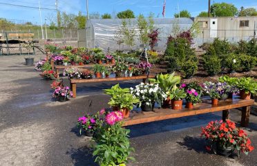 Newington Stone and Garden LLC