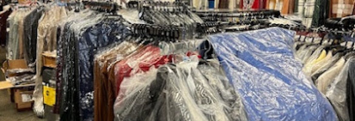Contempo Suits